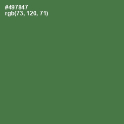 #497847 - Fern Green Color Image