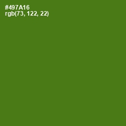 #497A16 - Green Leaf Color Image