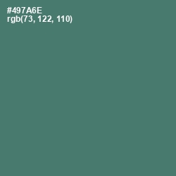 #497A6E - Cutty Sark Color Image