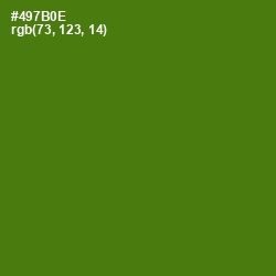 #497B0E - Green Leaf Color Image