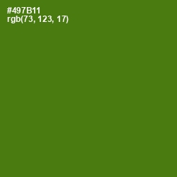 #497B11 - Green Leaf Color Image