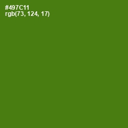 #497C11 - Green Leaf Color Image