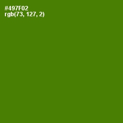 #497F02 - Green Leaf Color Image