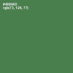 #49804D - Hippie Green Color Image