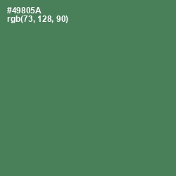 #49805A - Hippie Green Color Image