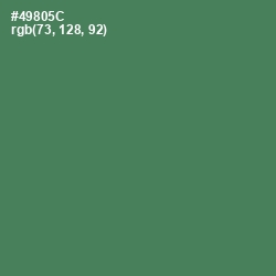 #49805C - Hippie Green Color Image