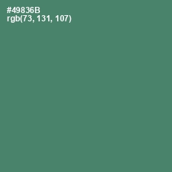 #49836B - Viridian Color Image