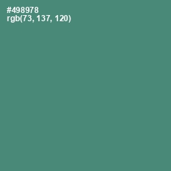 #498978 - Viridian Color Image