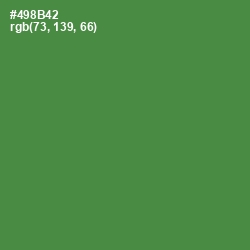 #498B42 - Hippie Green Color Image