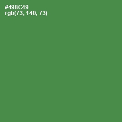 #498C49 - Hippie Green Color Image