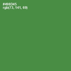 #498D45 - Hippie Green Color Image