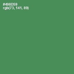 #498D59 - Fruit Salad Color Image