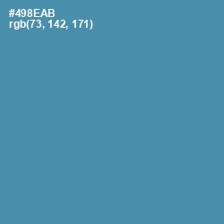#498EAB - Steel Blue Color Image
