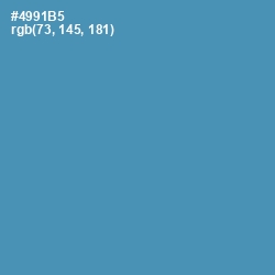 #4991B5 - Steel Blue Color Image