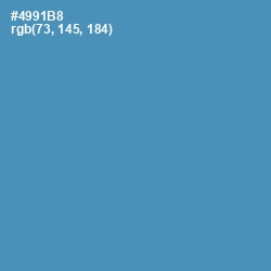 #4991B8 - Steel Blue Color Image