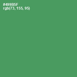 #499B5F - Fruit Salad Color Image