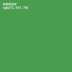 #499D4F - Fruit Salad Color Image