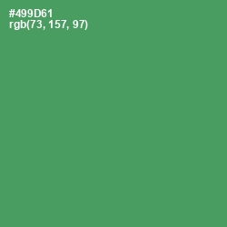 #499D61 - Spring Leaves Color Image