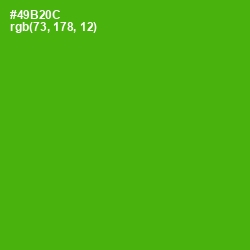 #49B20C - Christi Color Image