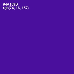 #4A109D - Pigment Indigo Color Image
