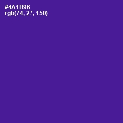 #4A1B96 - Pigment Indigo Color Image