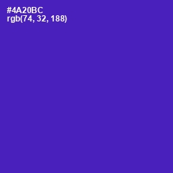 #4A20BC - Daisy Bush Color Image