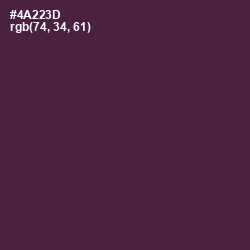 #4A223D - Livid Brown Color Image