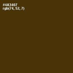#4A3407 - Deep Bronze Color Image