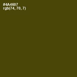 #4A4607 - Bronze Olive Color Image
