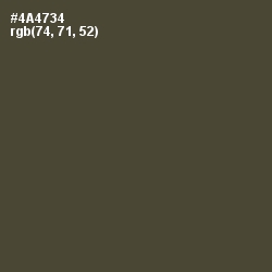 #4A4734 - Kelp Color Image