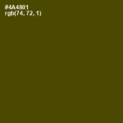 #4A4801 - Bronze Olive Color Image