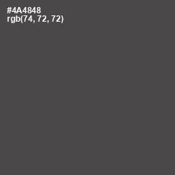 #4A4848 - Gravel Color Image