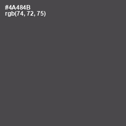 #4A484B - Gravel Color Image
