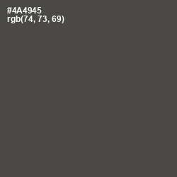#4A4945 - Tundora Color Image