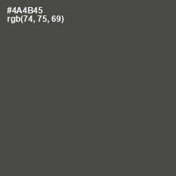 #4A4B45 - Tundora Color Image