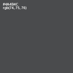 #4A4B4C - Gravel Color Image