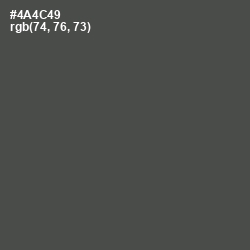 #4A4C49 - Gravel Color Image