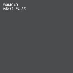 #4A4C4D - Gravel Color Image