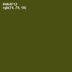 #4A4F12 - Bronze Olive Color Image