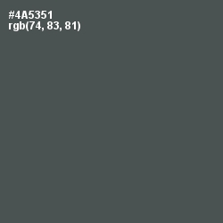 #4A5351 - Nandor Color Image