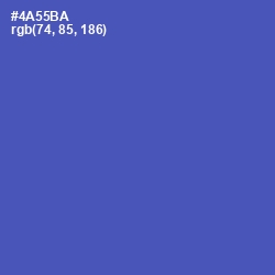 #4A55BA - Blue Violet Color Image