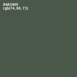 #4A5849 - Gray Asparagus Color Image