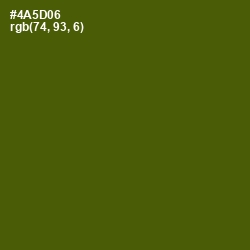 #4A5D06 - Verdun Green Color Image