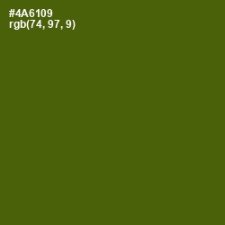 #4A6109 - Green Leaf Color Image