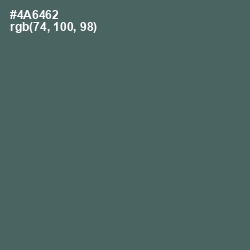 #4A6462 - Blue Bayoux Color Image