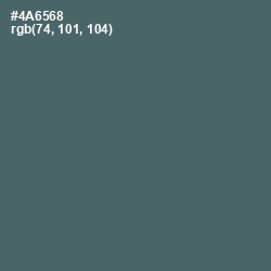 #4A6568 - Blue Bayoux Color Image