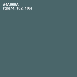 #4A666A - Blue Bayoux Color Image