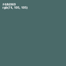 #4A6969 - Blue Bayoux Color Image