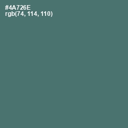 #4A726E - Cutty Sark Color Image