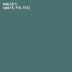 #4A7271 - Faded Jade Color Image